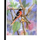 Baltimore Oriole Bird Garden Flag KR9026GF