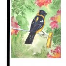 Black Headed Grosbeak Bird Garden Flag KR9022GF