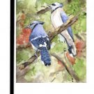 Blue Jay Bird Garden Flag KR9009GF