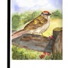 Chipping Sparrow Bird Garden Flag KR9019GF