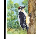 Downy Woodpecker Bird Garden Flag KR9020GF