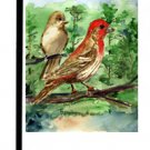 House Finch Bird Garden Flag KR9029GF