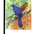 Indigo Bunting Bird Garden Flag KR9021GF