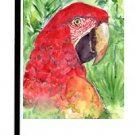 Macaw Bird Garden Flag KR9006GF