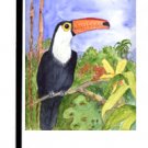 Toucan Bird Garden Flag KR9003GF