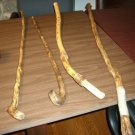 Canes and Walking Sticks