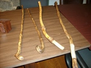 Canes and Walking Sticks