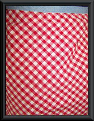 TOMMY JEANS Red White Check Skirt Juniors 11 L Womens M