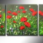 Gorgeous Oil Floral Painting on Canvas Very Pretty Flowers (+Frame) FL3-046