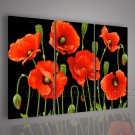 Red Flowers On Black Canvas Floral Oil Painting Home Decor FL3-138