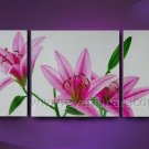 Framed Pink Calla Floral hand painted oil painting FL3-188