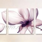 Framed wall art flowers home decoration Landscape oil painting FL3-206