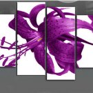 Low Price! High Quality! Modern Professional Flower Canvas Art Oil Painting for Decor FL4-102