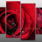 Framed High Quality Flower Oil Painting on Canvas FL4-106