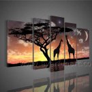 Modern Canvas Wall Art African Oil Painting (+ Framed) AR-097