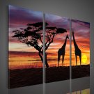 Wall Decoration African Art on Canvas Oil Painting (+Framed) AR-151