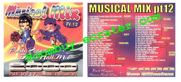 Musical Mix: Musical Mix Pt. 12 ( New Millenum 2000 )