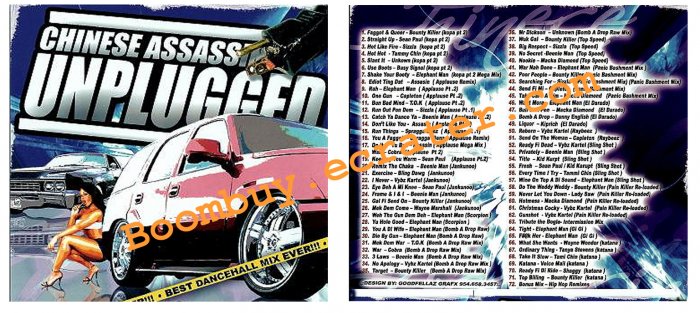 Chinese Assassin: Unplugged