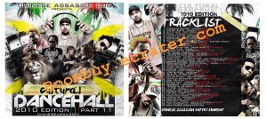 Chinese Assassin: Cultural Dancehall Pt.2
