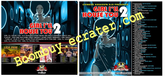 Chinese Assassin: Girl I'll House You Vol.2