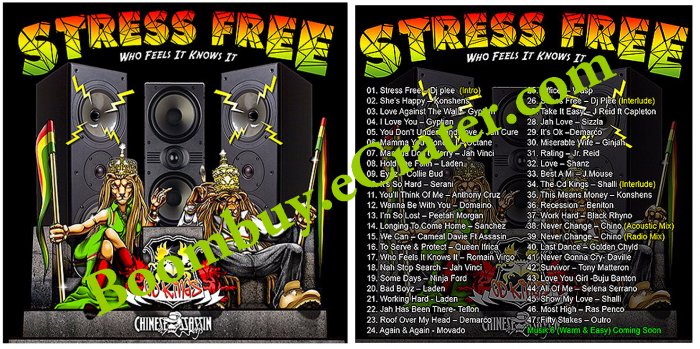 Chinese Assassin: Stress Free
