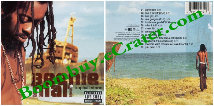 Beenie Man: Tropical Storm