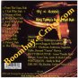 Sly & Rubbie: King Tubby's Dance Hall Dub