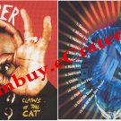 Tiger: The Claw Of A Cat