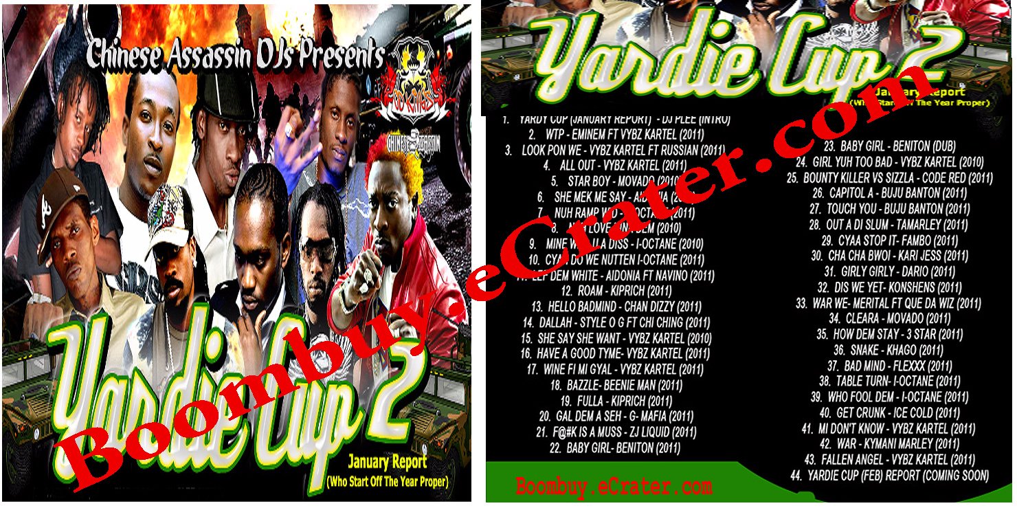 Chinese Assassin: Yardie Cup 2 ( 2011 January Report )