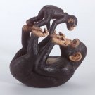 35010 Monkey Playing With Baby Monkey