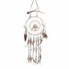 35153 Southwestern Windcatcher