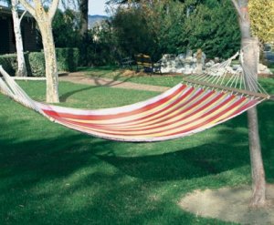 35353 Striped Pattern Hammock