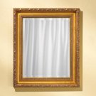 35596 Gold Color Architecture Mirror