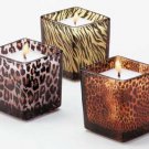 34066 Safari Glass Candle Holders (Set of 3)