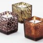 34066 Safari Glass Candle Holders (Set of 3)
