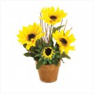 36232 Sunflower Bouquet