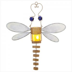 37123 Lantern-dragonfly