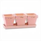 37741 Bloom Baby Bloom Pots