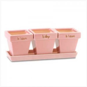 37741 Bloom Baby Bloom Pots