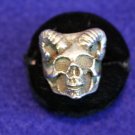 SSR-5-SZ8 Skull