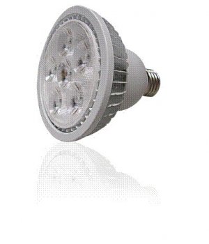 12W PAR30 LED Bulb Hi-Power Down Light Warm White Bulb Lamp