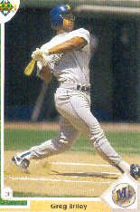 1991 Upper Deck #479 Greg Briley