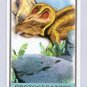 2010 Topps Allen and Ginter Mini Monsters of the Mesozoic #MM15 Protoceratops (Miniature Card)(Baseb