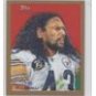 2009 Topps National Chicle Mini #94 Troy Polamalu