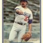 1982 Fleer 2 Robert Castillo