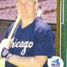 1989 Upper Deck 183 Ron Karkovice