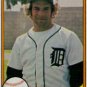1981 Fleer #459 Steve Kemp ( Baseball Cards )