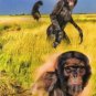 2011 Topps Allen and Ginter Ascent of Man #AOM20 Hominina