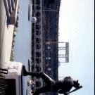 2010 Upper Deck #564 San Francisco Giants