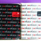 Korean I Love Paris Card Case (12 Pockets) Choose 1 Out Of 2